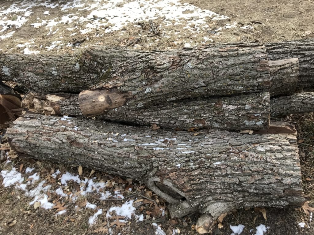 Tree Branches - Making Furniture Starting Here