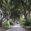 got game of thrones, dark hedges