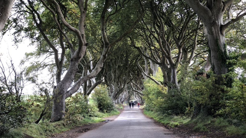 got game of thrones, dark hedges