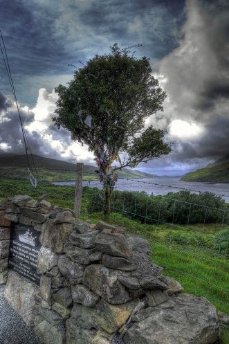 fairy tree in ireland