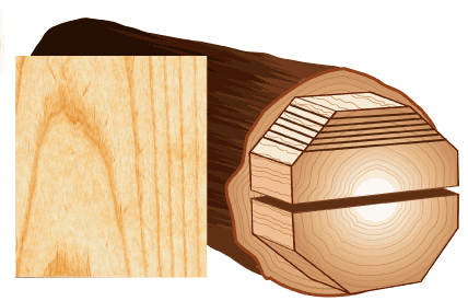 Plain sliced veneer